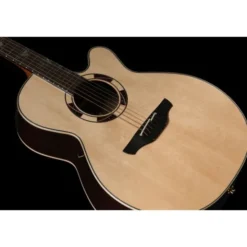 Takamine DSF48C