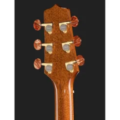 Takamine DSF48C