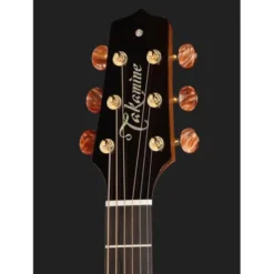 Takamine DSF48C
