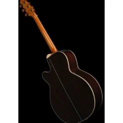 Takamine DSF48C
