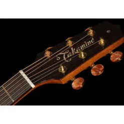 Takamine DSF48C