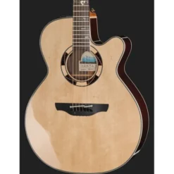 Takamine DSF48C