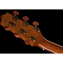 Takamine DSF48C