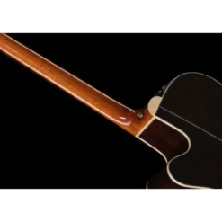 Takamine DSF48C