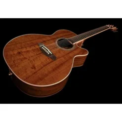 Takamine EF508KC w/Softcase