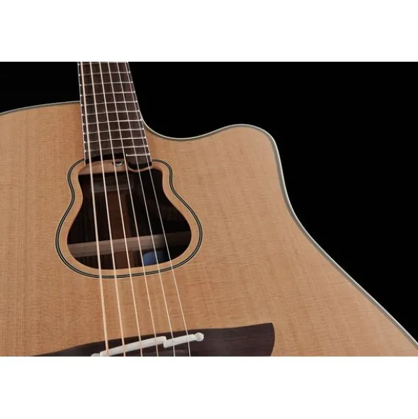 Takamine GB7C w/Softcase
