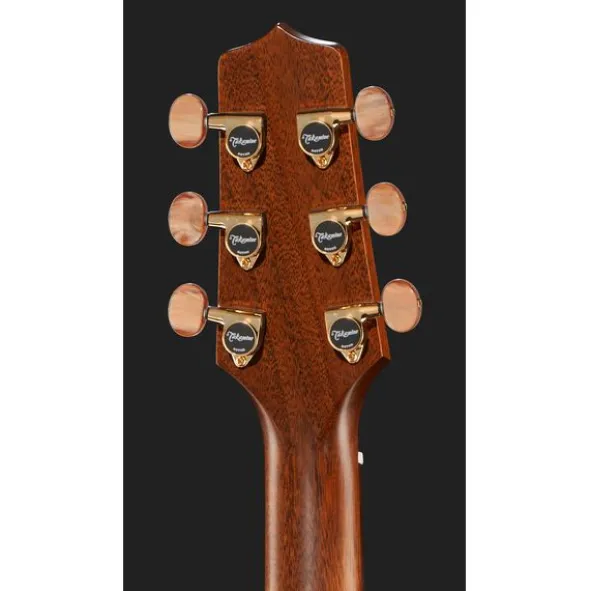 Takamine GB7C w/Softcase