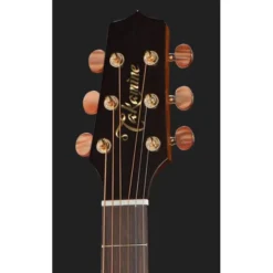 Takamine GB7C w/Softcase