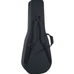 Takamine GB7C w/Softcase