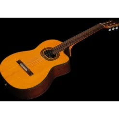 Takamine GC6CE-Nat