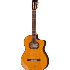 Takamine GC6CE-Nat