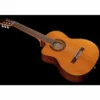 Takamine GC5CE-N-LH
