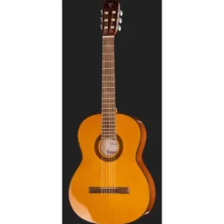 Takamine GC1-NAT