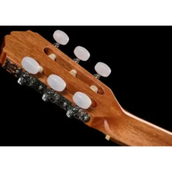 Takamine GC1-NAT