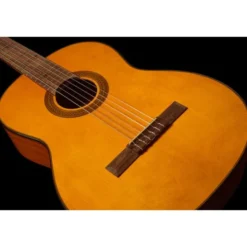 Takamine GC1-NAT
