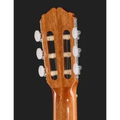 Takamine GC1-NAT