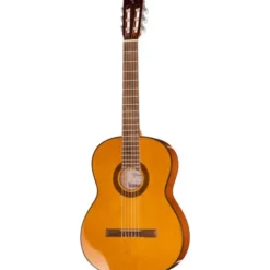 Takamine GC1-NAT