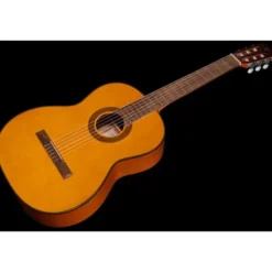 Takamine GC1-NAT