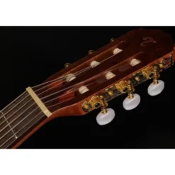 Takamine GC5-NAT Classicguitar