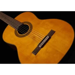 Takamine GC5-NAT Classicguitar