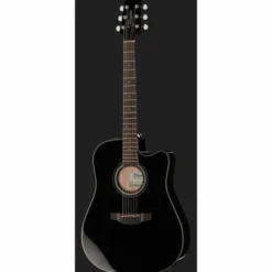 Takamine GD30CE-B