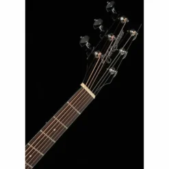 Takamine GD30CE-B