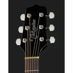 Takamine GD30CE-B