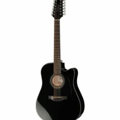 Takamine GD30CE-12B