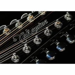 Takamine GD30CE-12B