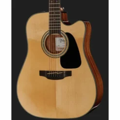 Takamine GD30CE-N