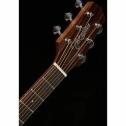 Takamine GD30CE-N
