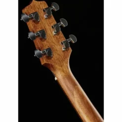 Takamine GD30CE-N