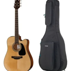 Takamine GD30CE-N Bundle w/GB