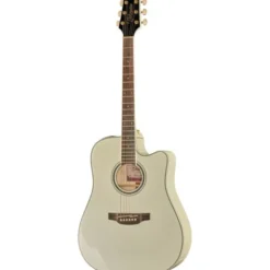 Takamine GD37CE PW