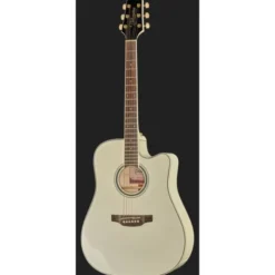 Takamine GD37CE PW