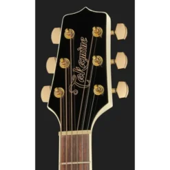 Takamine GD37CE PW