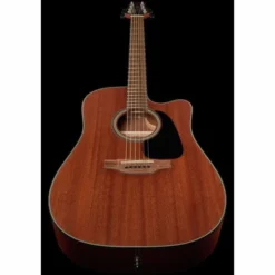 Takamine GD11MCENS