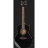 Takamine GN30 B