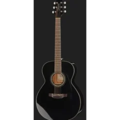 Takamine GN30 B