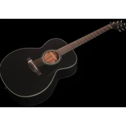 Takamine GN30 B