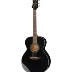 Takamine GN30 B