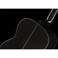 Takamine GN30 B
