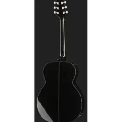 Takamine GN30 B