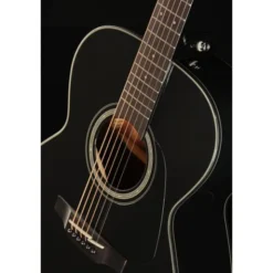 Takamine GN30 B