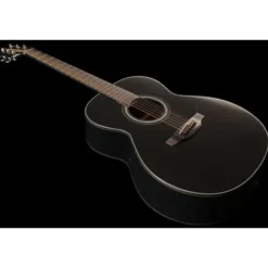Takamine GN30 B