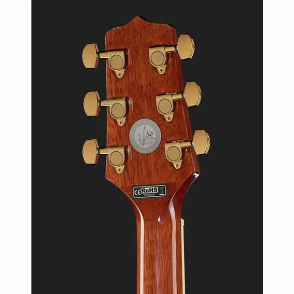 Takamine GN51CE-NAT