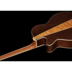 Takamine GN93CE-NAT w/Bag