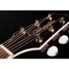 Takamine GN75CEWR