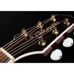 Takamine GN75CEWR