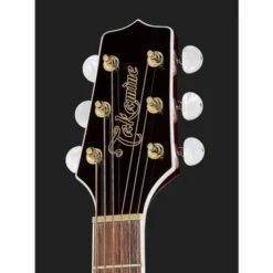 Takamine GN75CEWR